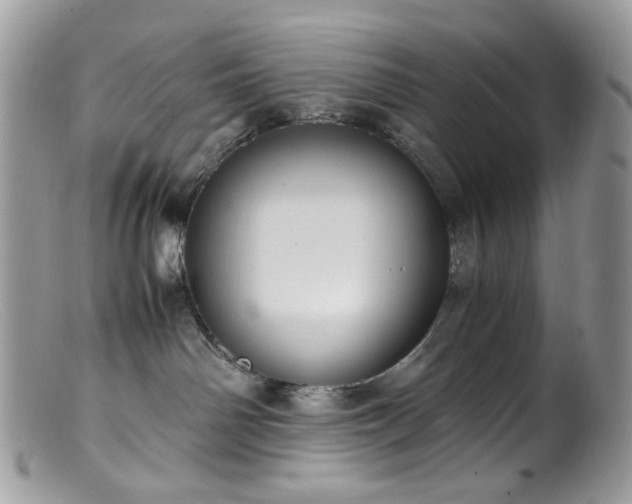 X0000099400142200805151714