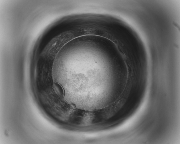 X0000099400143200805151714