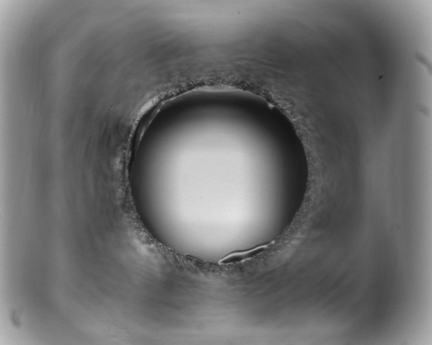 X0000099400144200805151714