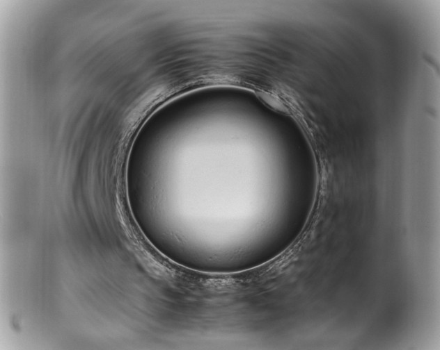 X0000099400145200805151713