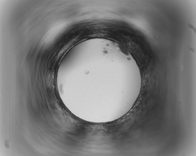 X0000099400146200805151713