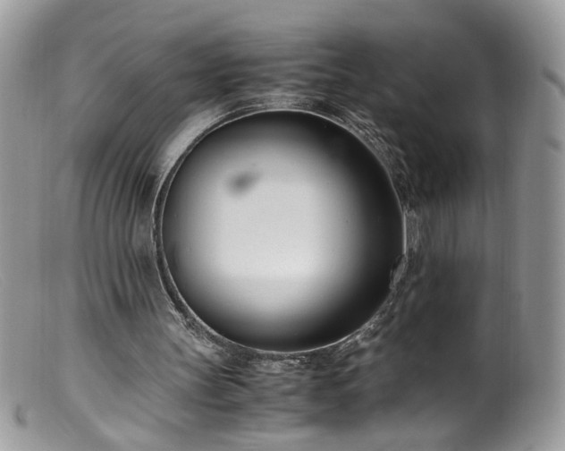 X0000099400147200805151713