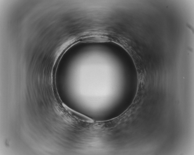 X0000099400148200805151713