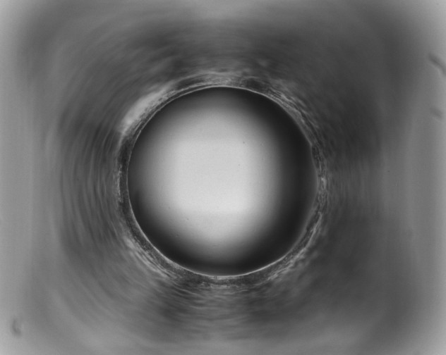 X0000099400149200805151713