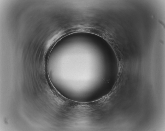 X0000099400150200805151713