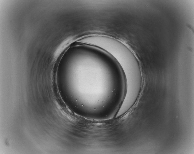 X0000099400151200805151713