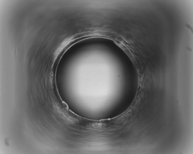 X0000099400152200805151713