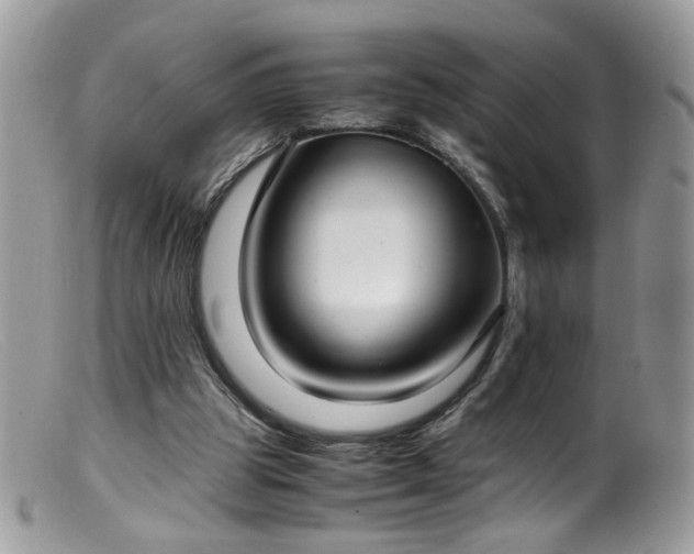 X0000099400153200805151713