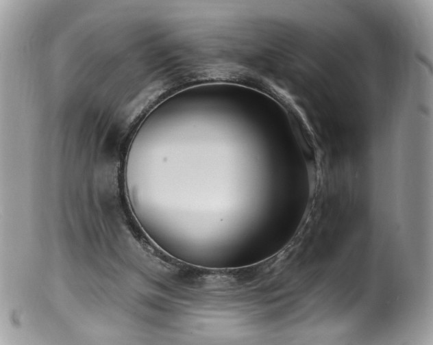 X0000099400154200805151713