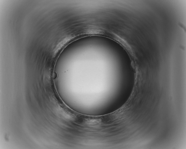 X0000099400155200805151713