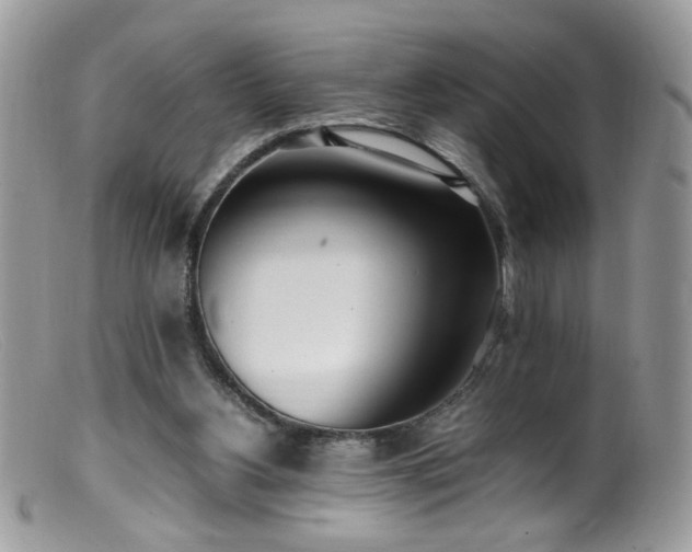 X0000099400156200805151713