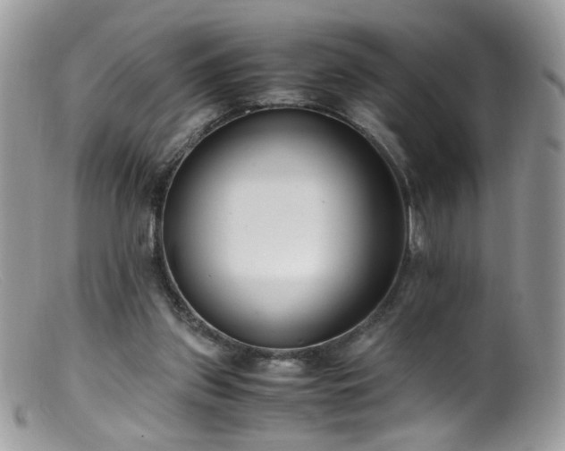 X0000099400157200805151713