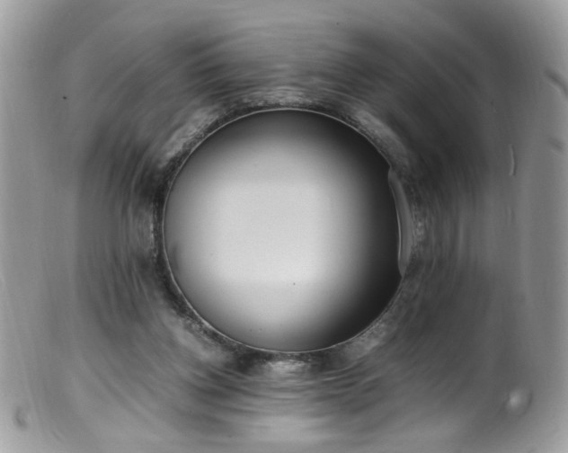 X0000099400158200805151713