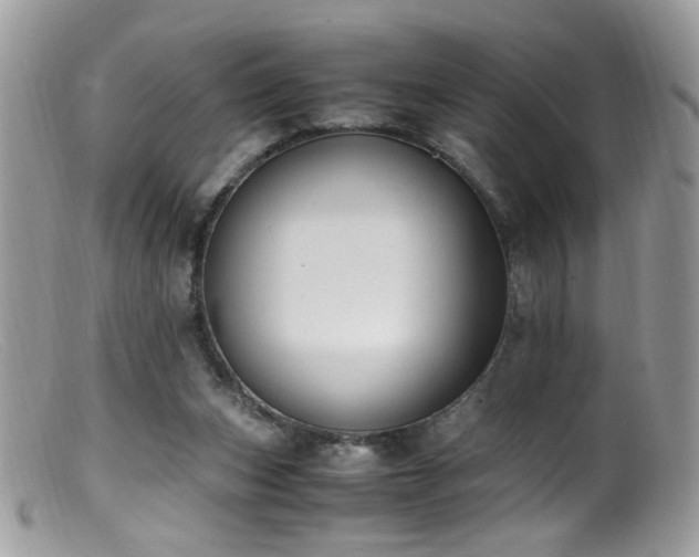 X0000099400159200805151713