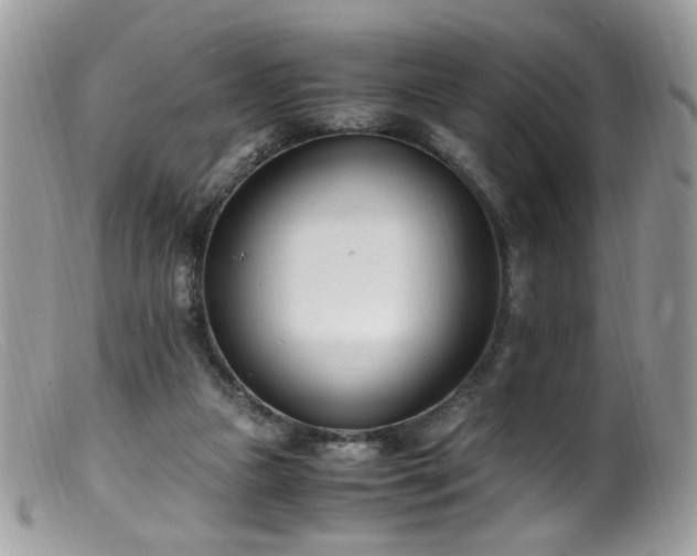 X0000099400161200805151713