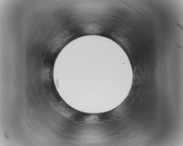 X0000099400162200805151713