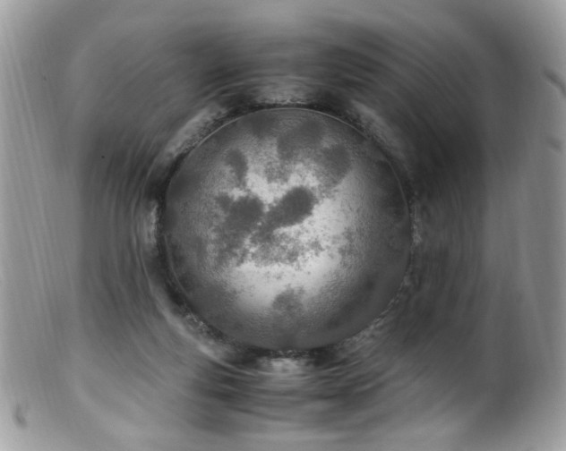 X0000099400163200805151713