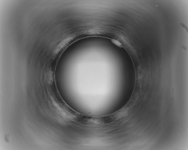 X0000099400164200805151713