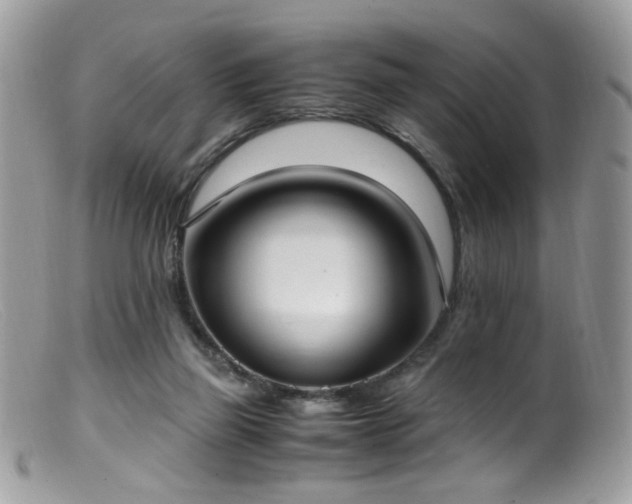 X0000099400165200805151713