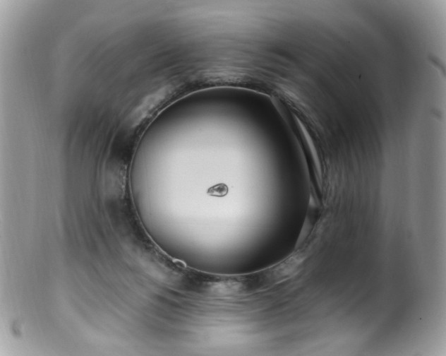 X0000099400168200805151713