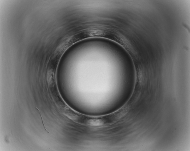 X0000099400169200805151713