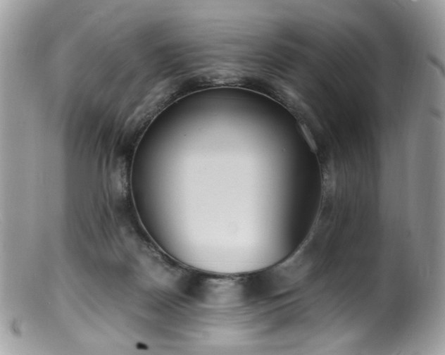 X0000099400170200805151713