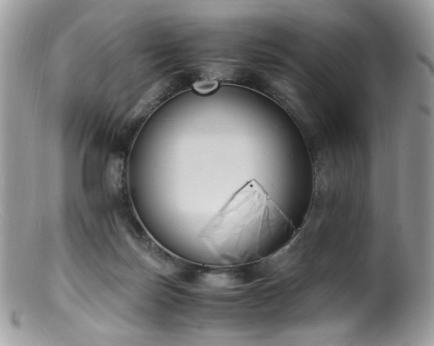 X0000099400171200805151713