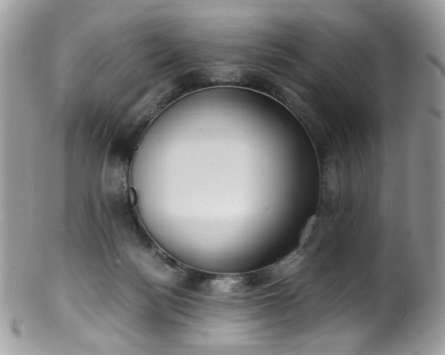 X0000099400172200805151713