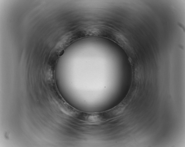 X0000099400173200805151713