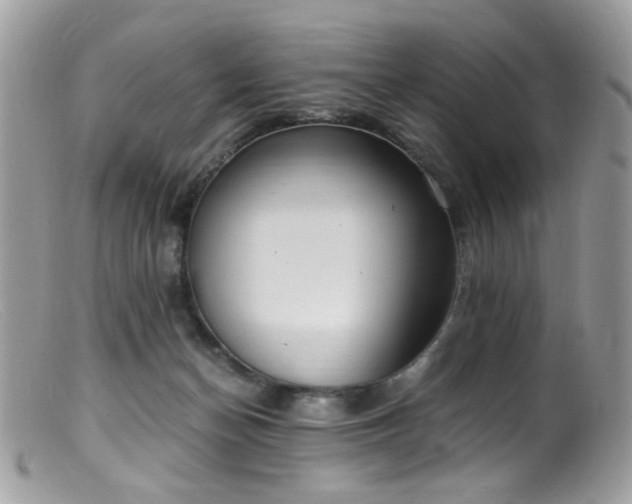 X0000099400174200805151713