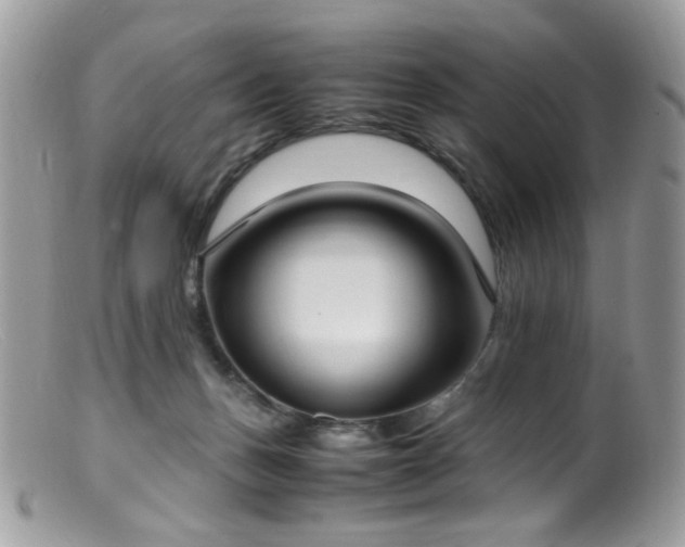 X0000099400175200805151713