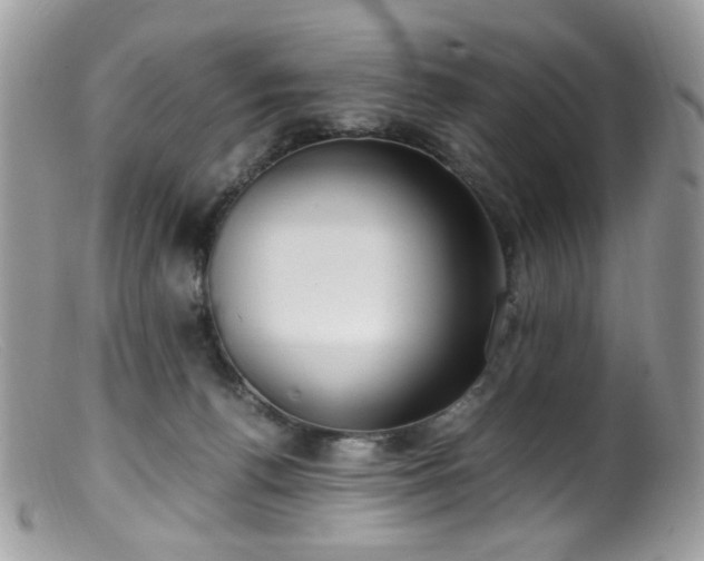 X0000099400176200805151713