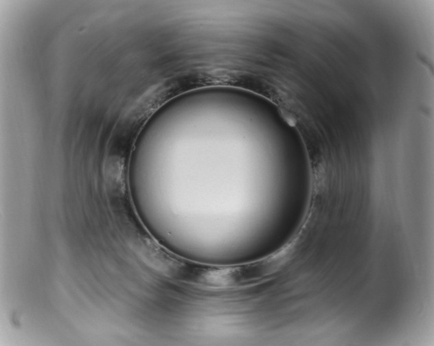 X0000099400178200805151713