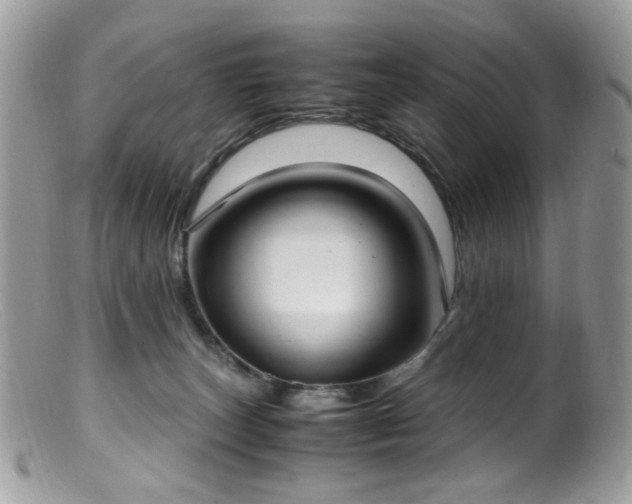 X0000099400179200805151713