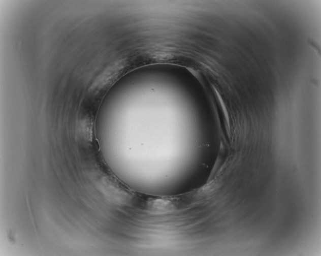 X0000099400180200805151713