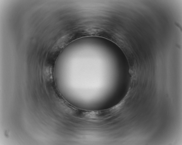 X0000099400182200805151714