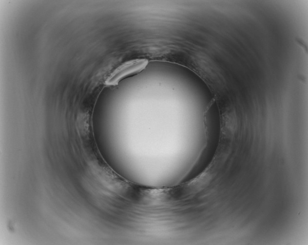 X0000099400184200805151714