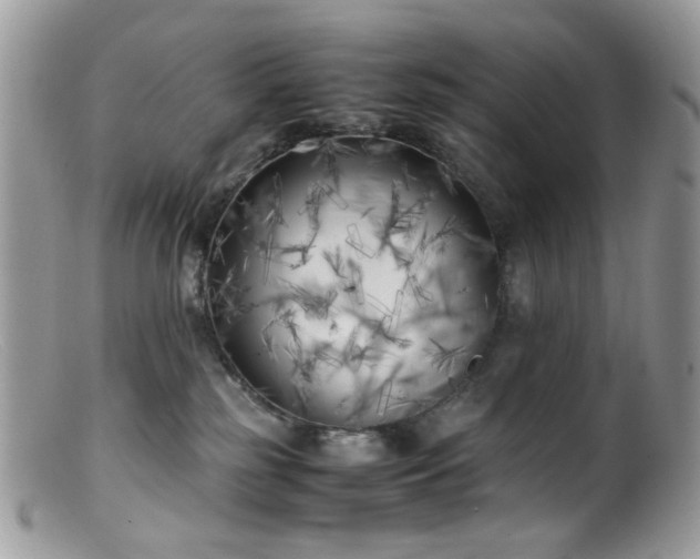 X0000099400185200805151714