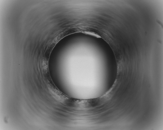 X0000099400186200805151714