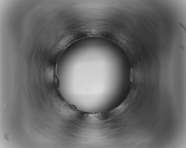 X0000099400188200805151714