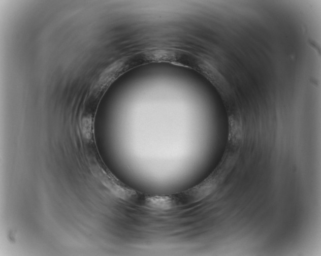 X0000099400189200805151714