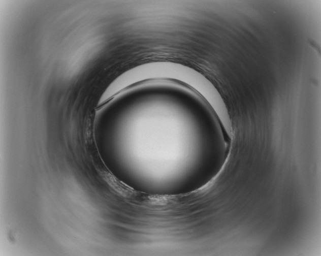 X0000099400190200805151714