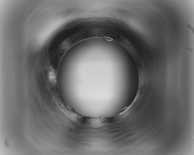 X0000099400191200805151714