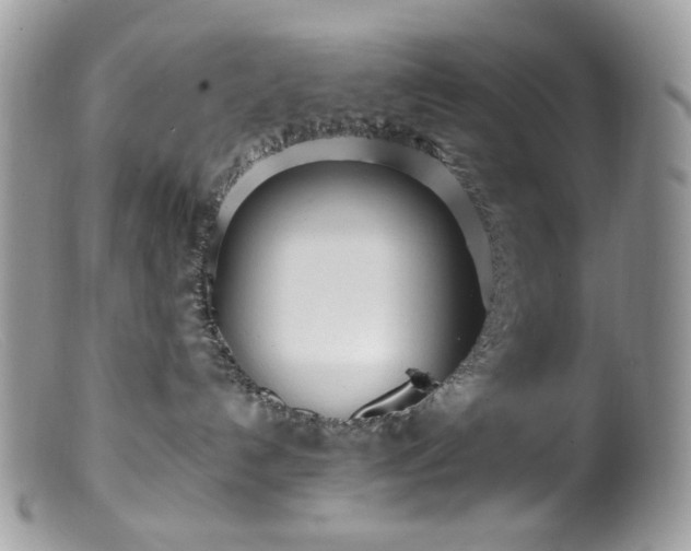 X0000099400192200805151714