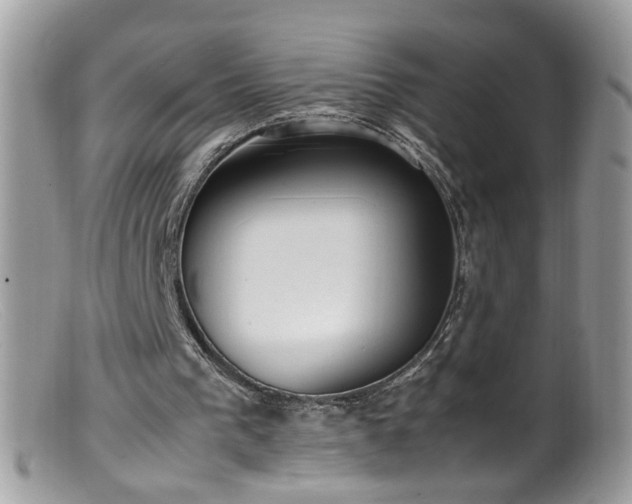 X0000099400193200805151713