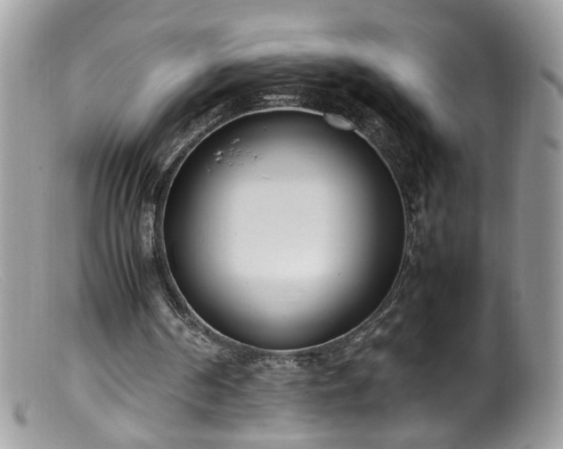 X0000099400194200805151713