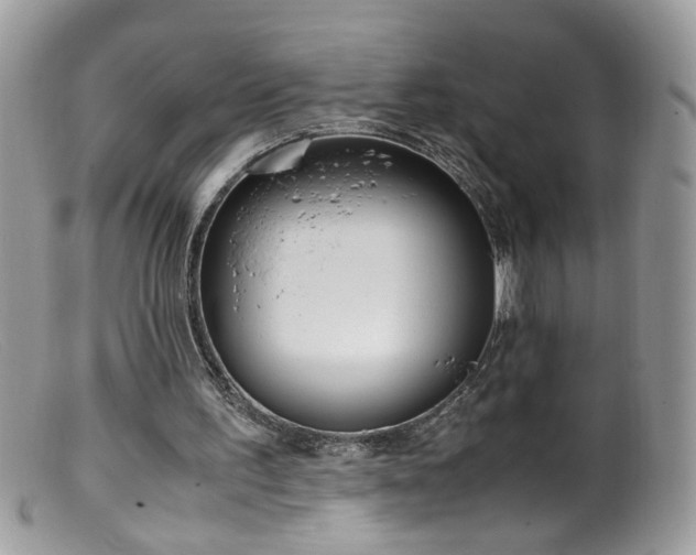 X0000099400195200805151713