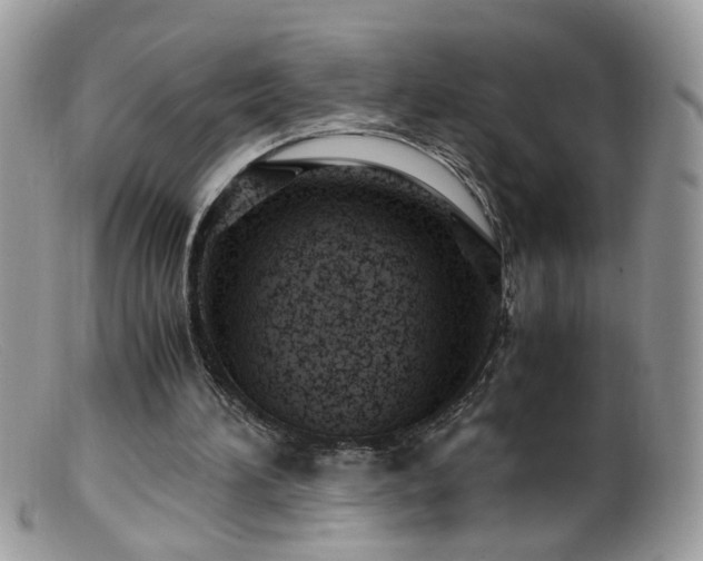 X0000099400196200805151713