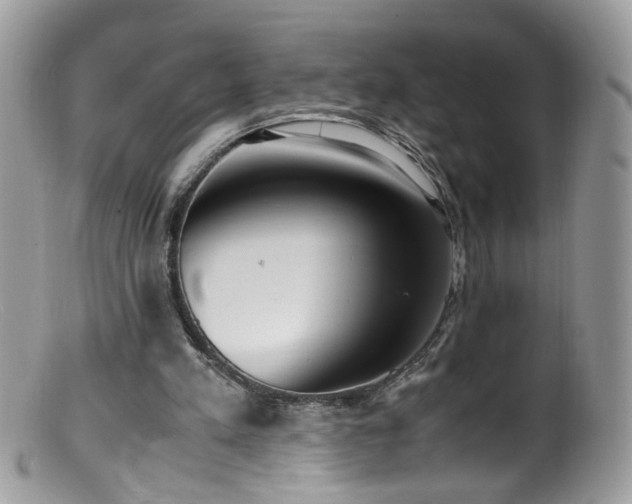 X0000099400197200805151713