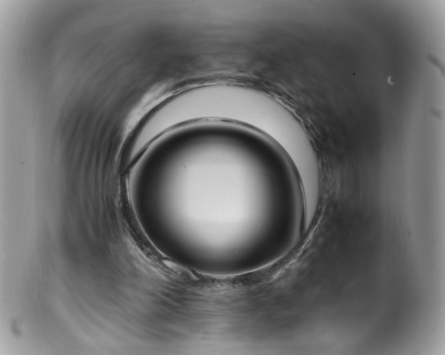 X0000099400198200805151713